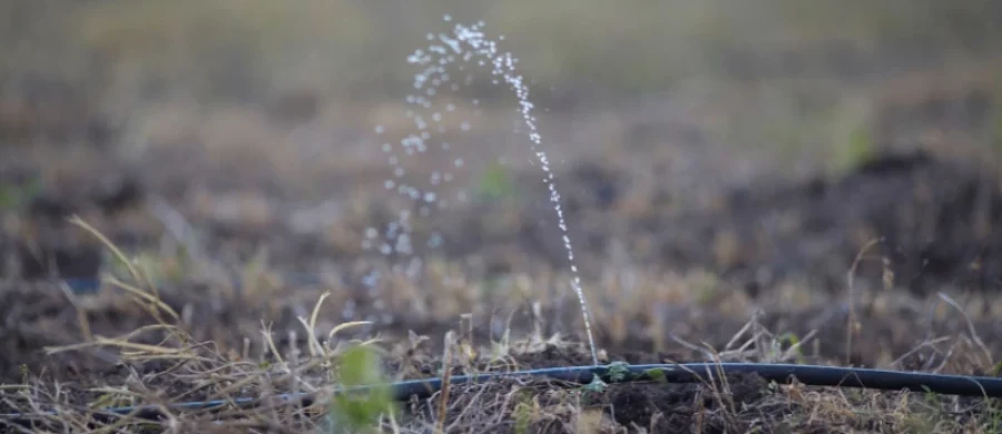 چه مقدار آب در سیستم آبیاری مصرف می‌شود؟